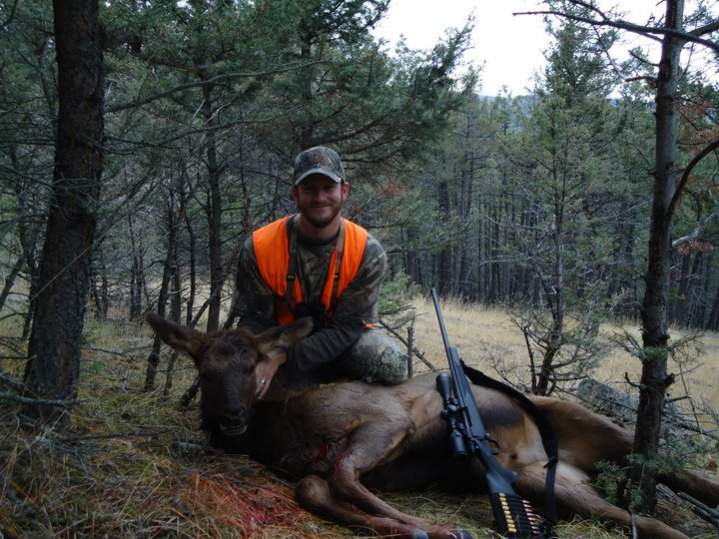 2010 Elk