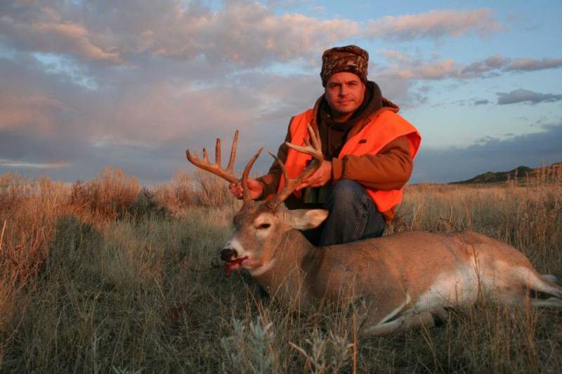 2011 Whitetail