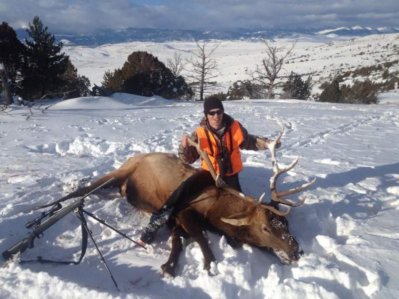 2012 Bull Elk (2)