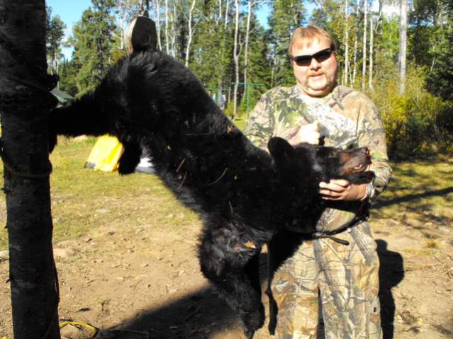 2012 Minnesota bear