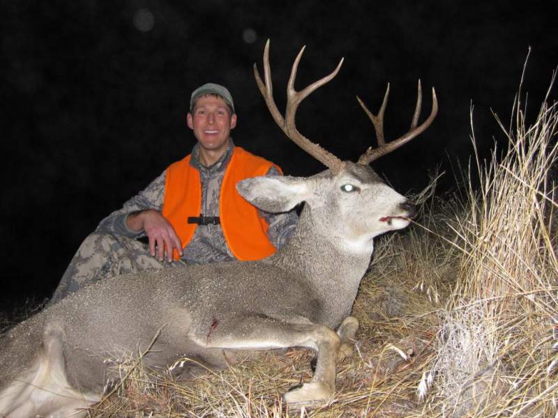 2012 MT Mulie