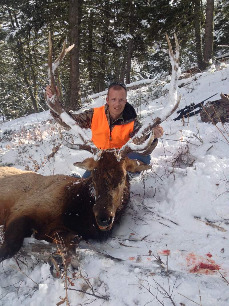 2013 elk (2)