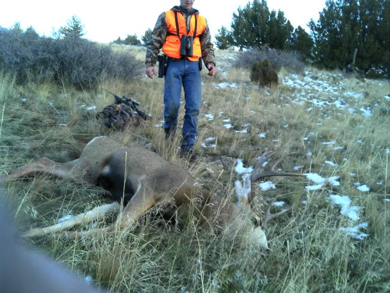 2013 Mule Deer Buck (1)