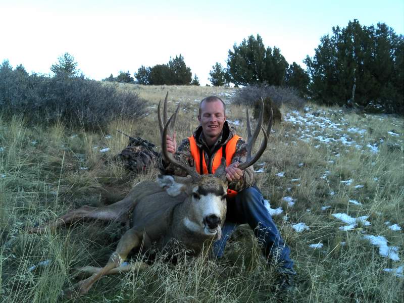 2013 Mule Deer Buck (2)