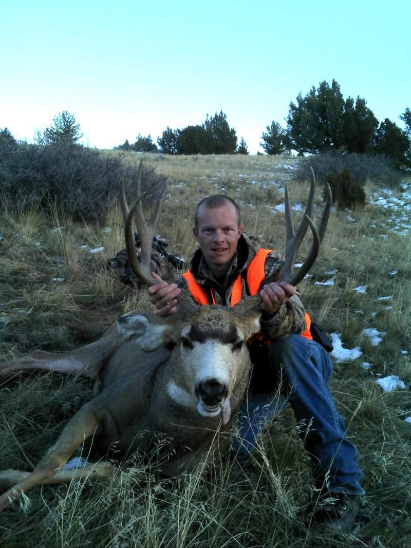 2013 Mule Deer Buck (3)