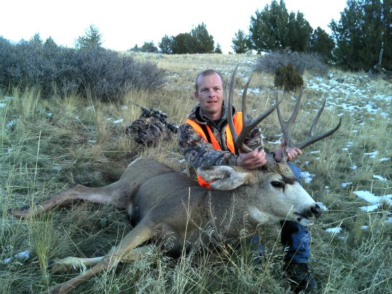 2013 Mule Deer Buck (4)