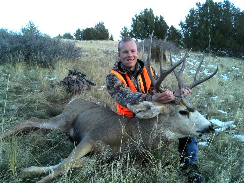 2013 Mule Deer Buck (5)