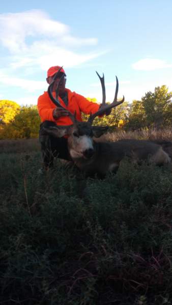 2014 2nd season muley