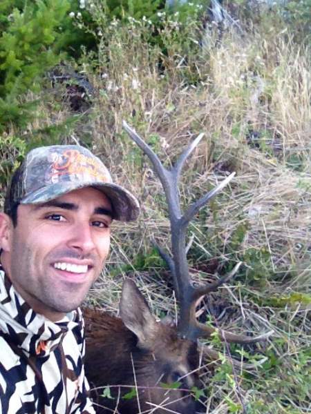 2014 WA Elk