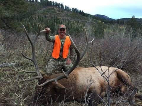 2015 ID Elk.jpg