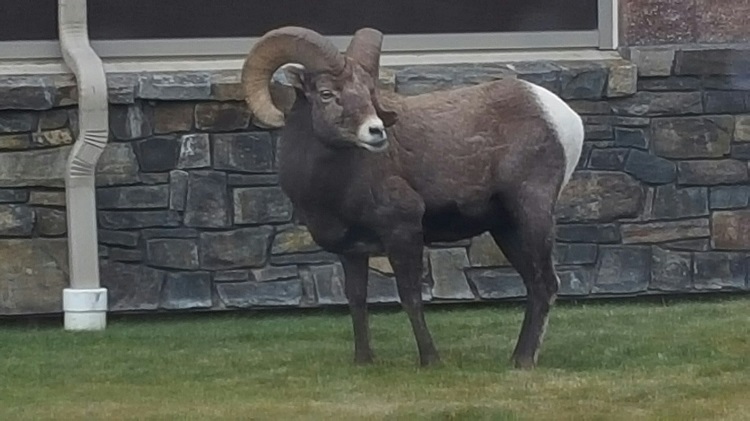 20151213 153245 resized