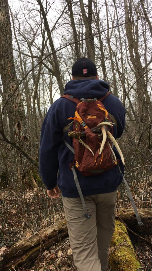 2017 MN Shed Hunting