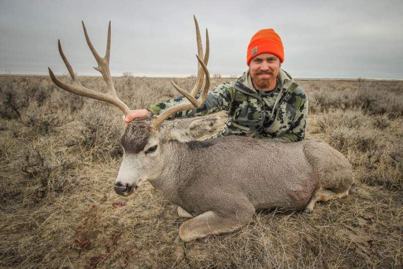 2017 MT Mule Deer Hunt 3 preview