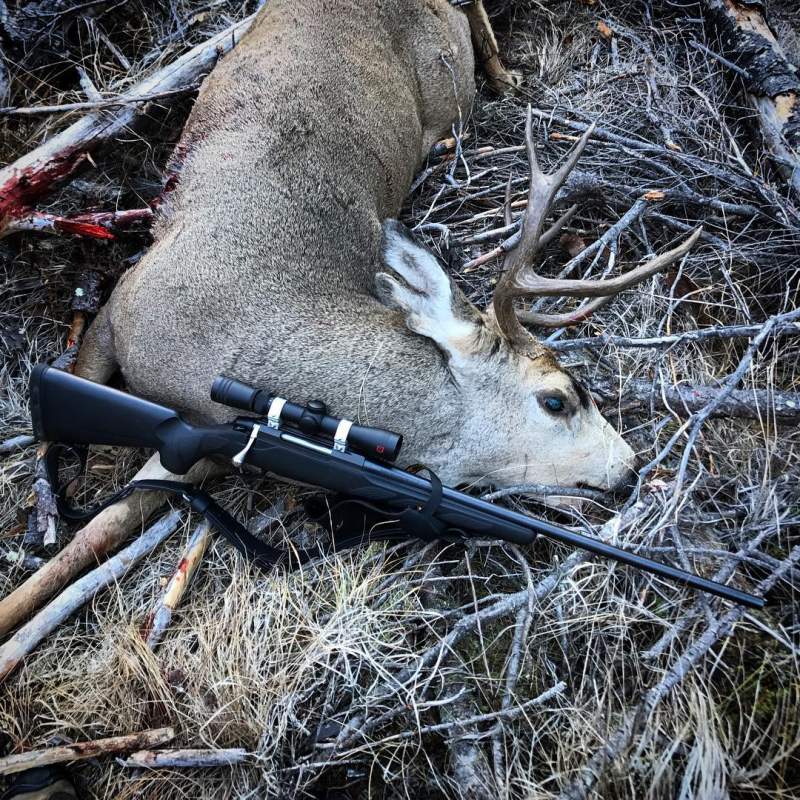 2018 mule deer, eastern Okanogan County, WA