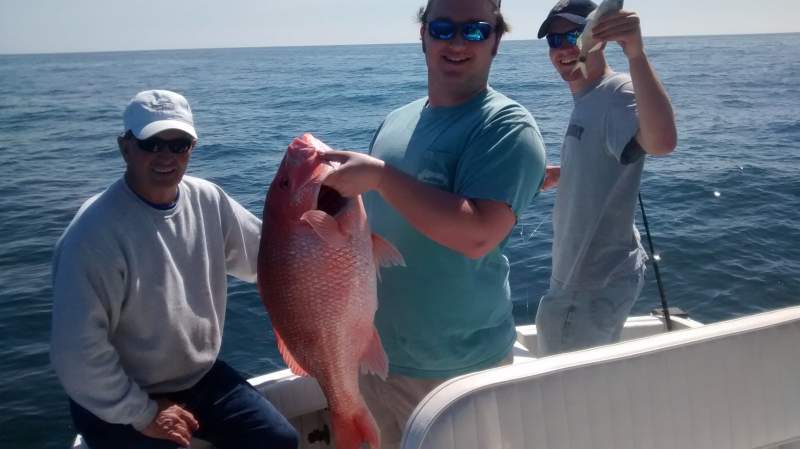 20lb snapper