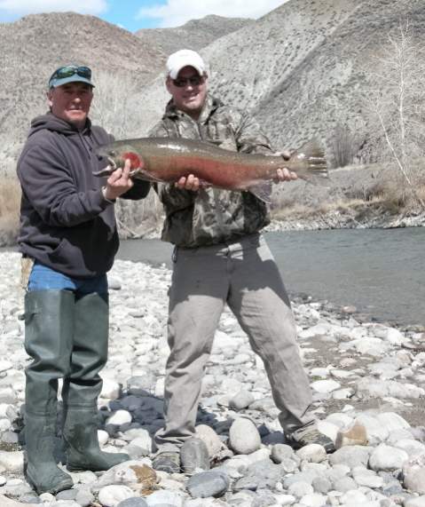 39&quot;