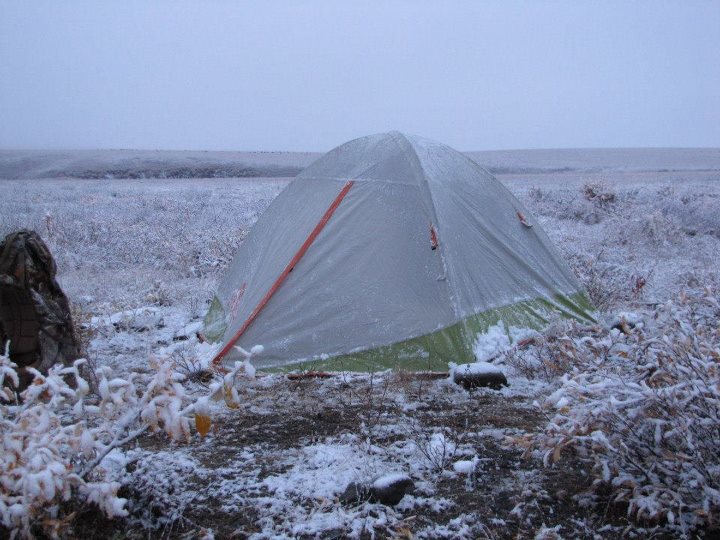 402176 3604538198031 1557542842 n