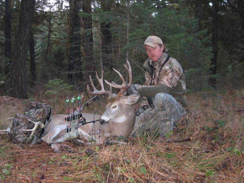 6x6 Archery Whitetail