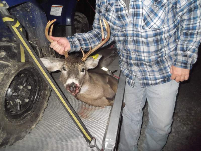 9 point 2011