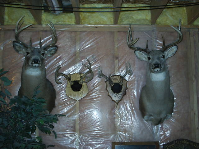 96' Archery 9 Point &amp; 97' Archery 7 Point

(A couple nice dink's in between)
