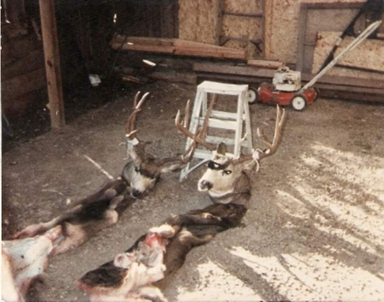 A couple of bucks from 1986