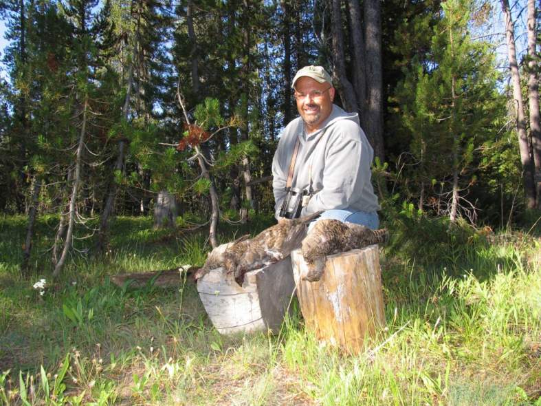 A limit of Blue grouse