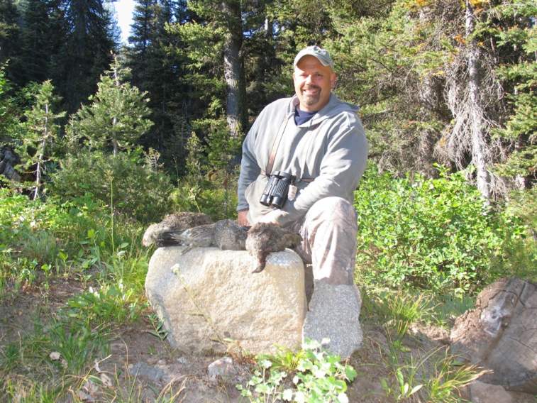 A limit of Blue grouse