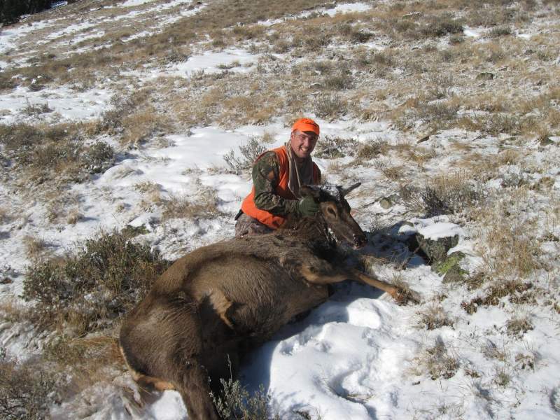A nice cow to add to the freezer