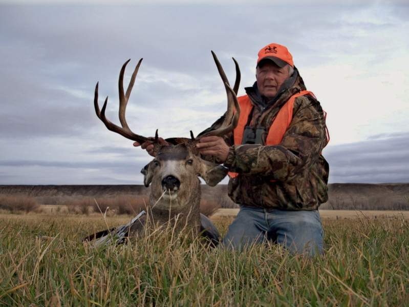 A young Muledeer buck taken in my friend's hayfield.  Meeteetse, Wyoming 2007.  Super eating!