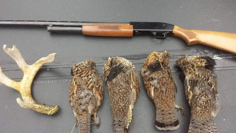 All tagged out. Put down the rifle and pick up the shotgun.