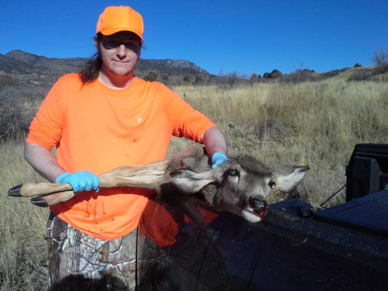 Andrew's 11/29/2013 doe CO GMU 591