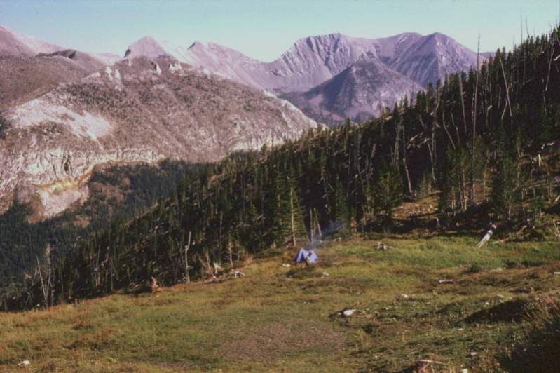 Another view of our Bighorn sheep hunting camp deep in the Sun River country September 1973.