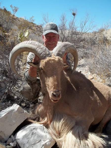 Aoudad taken on my 63rd birthday.