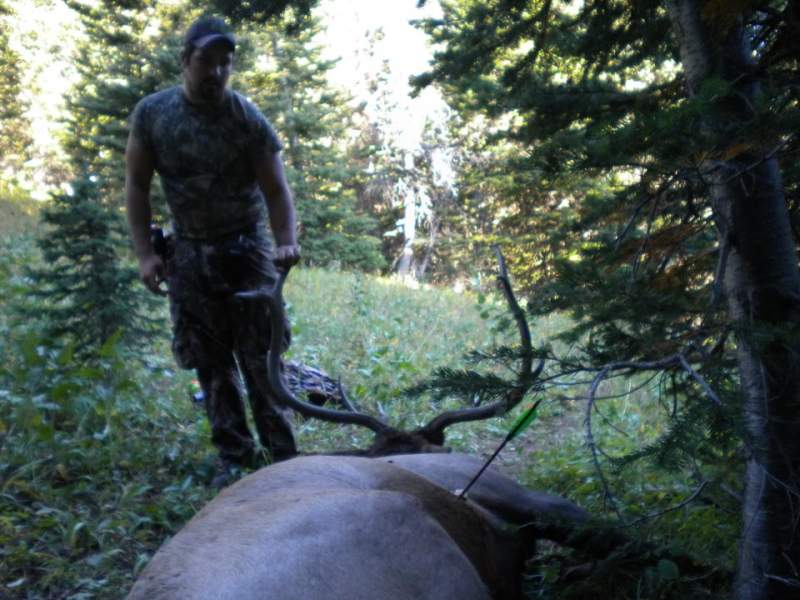 archery 11