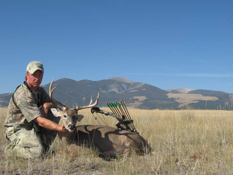 Archery Whitetail