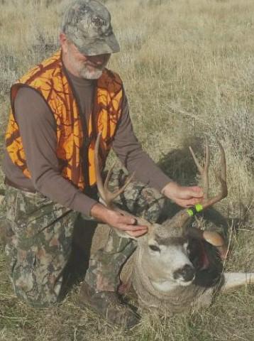 Area 34 mule deer