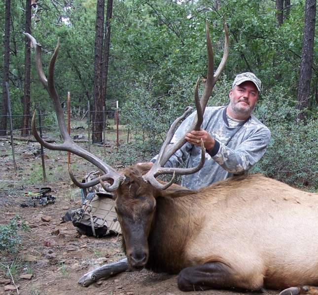 Arizona archery Elk
