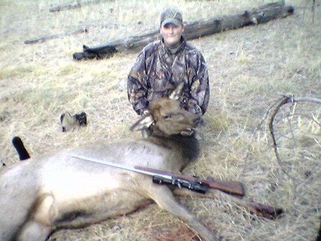 Austin 1st Elk