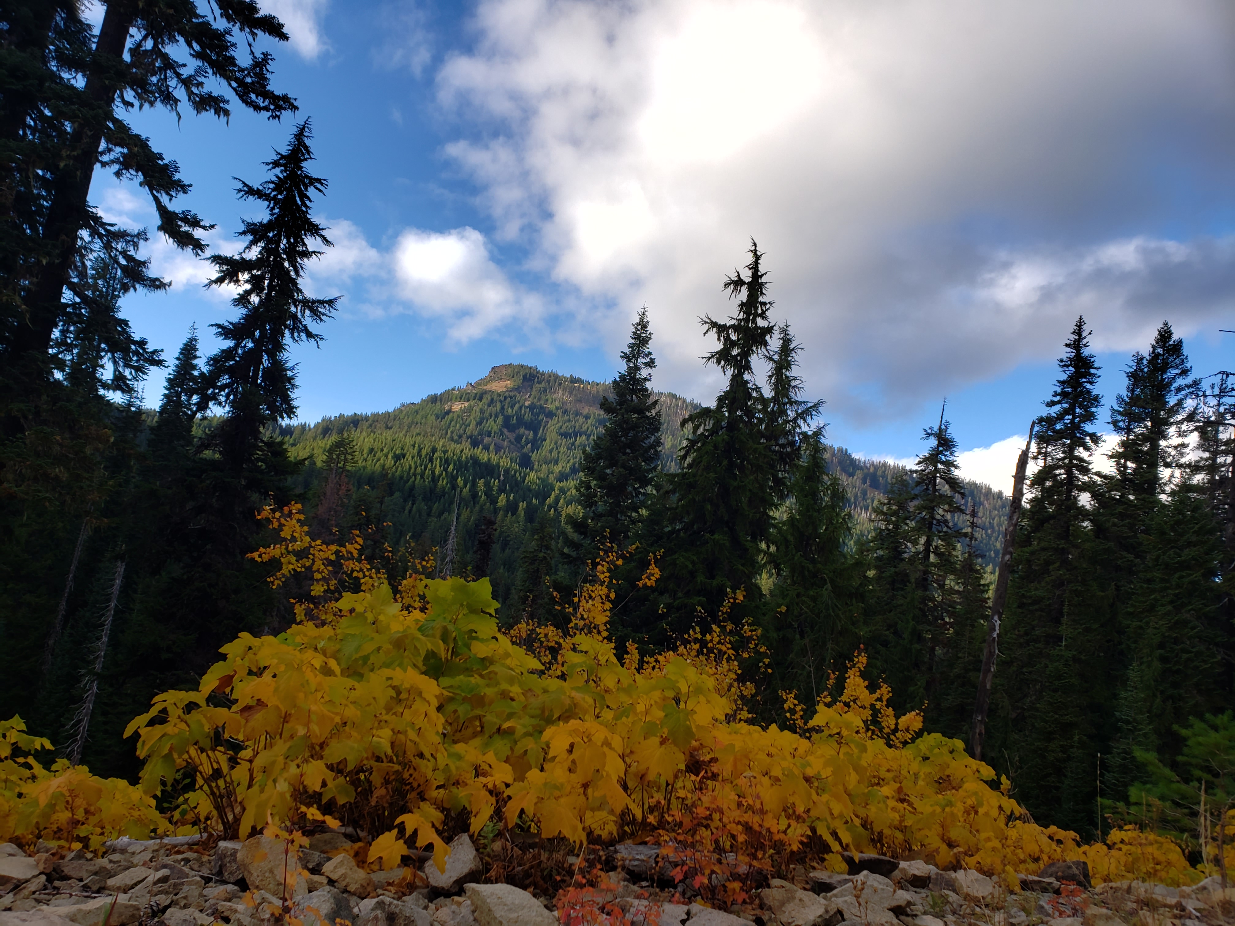 Backcountry Elk Hunt