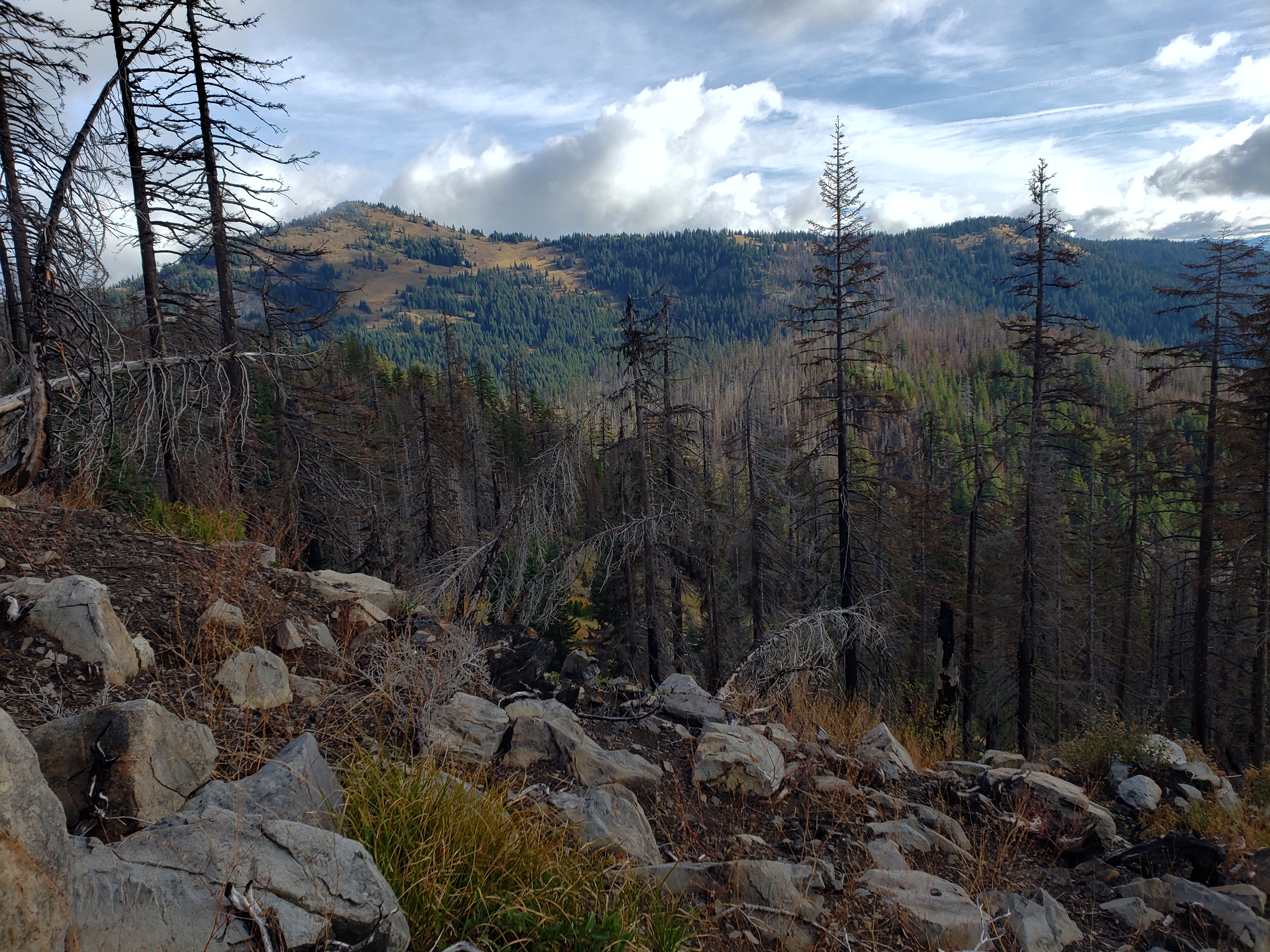 Backcountry Elk Hunt