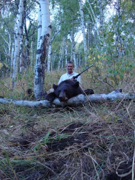 bear 2