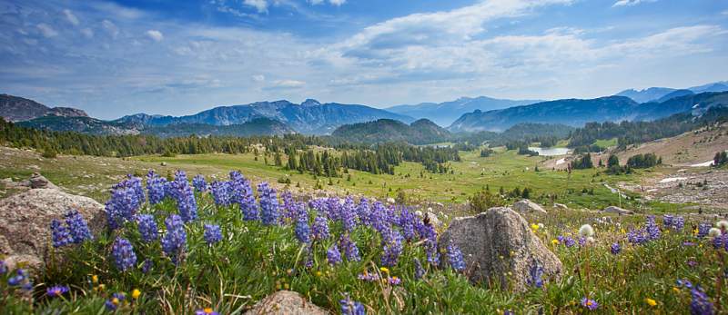 Beartooths 080309 27