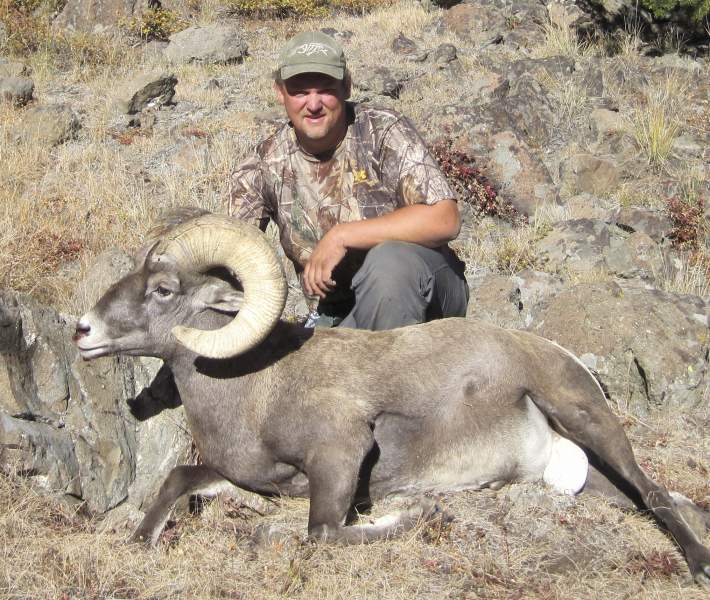 Bighorn Sheep - Wyoming Unit 5 (2009)