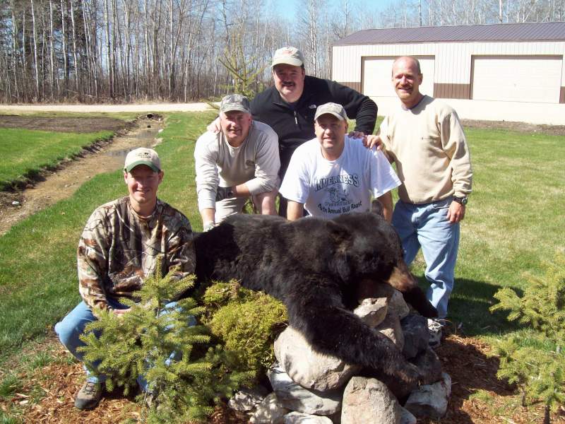 Black Bear - Manitoba