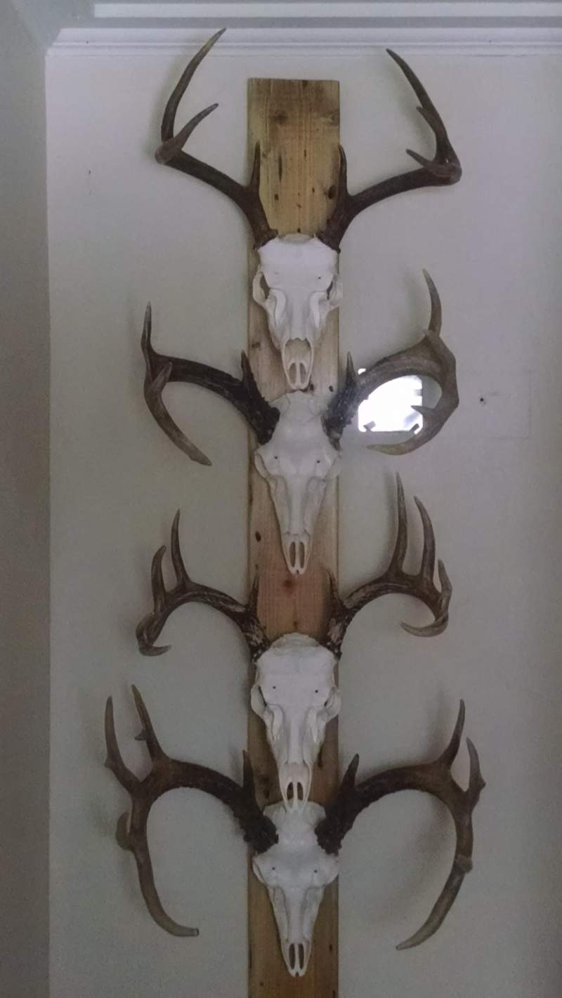 buck board