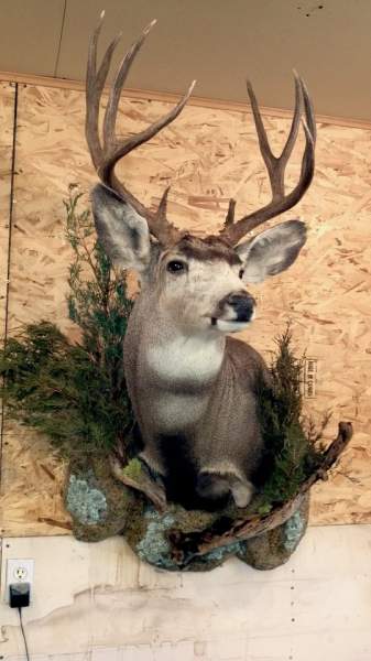 Buck mount