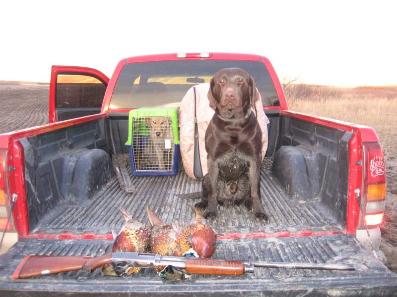 Buster with res birds and the J.C. Higgins of great grandpa's