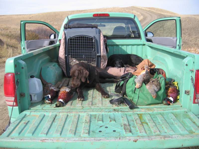 Busters first year was a good bird year
