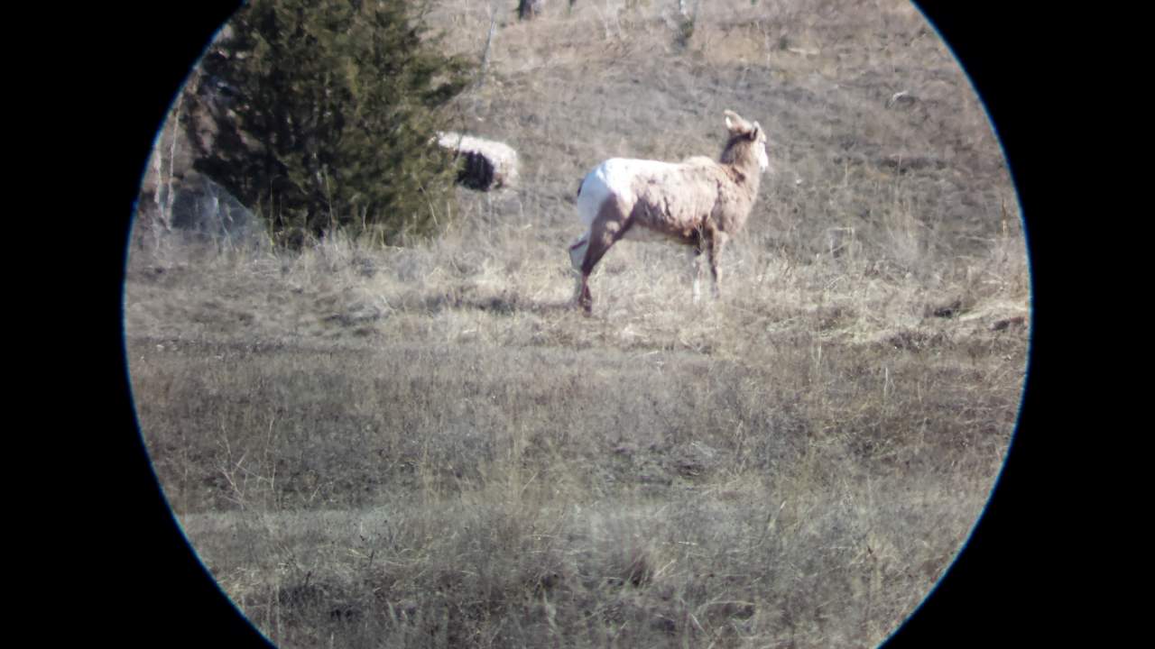 Camera attachment Spotting Scope Horizontal