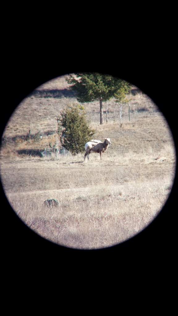 Camera attachment Spotting Scope Vertical